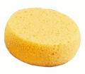 Foam Sponge