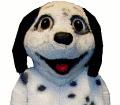 Dalmatian