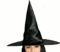 Witch Hat w/Hair